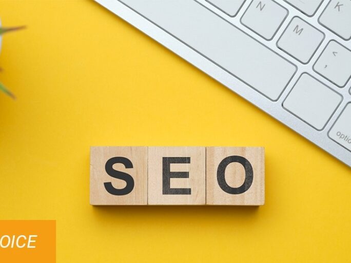 SEO durable : pourquoi il faut planter pour le long terme